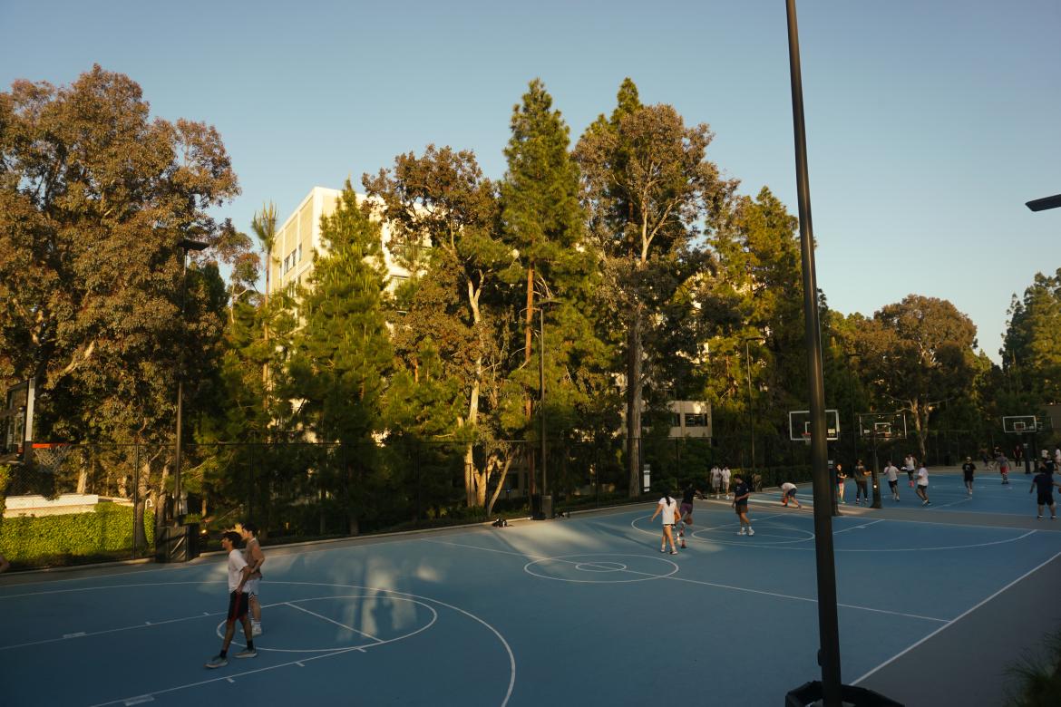 Hitch basketball court
