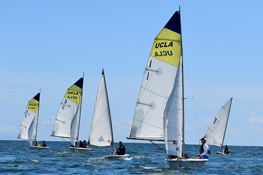 sailboats in water at MAC