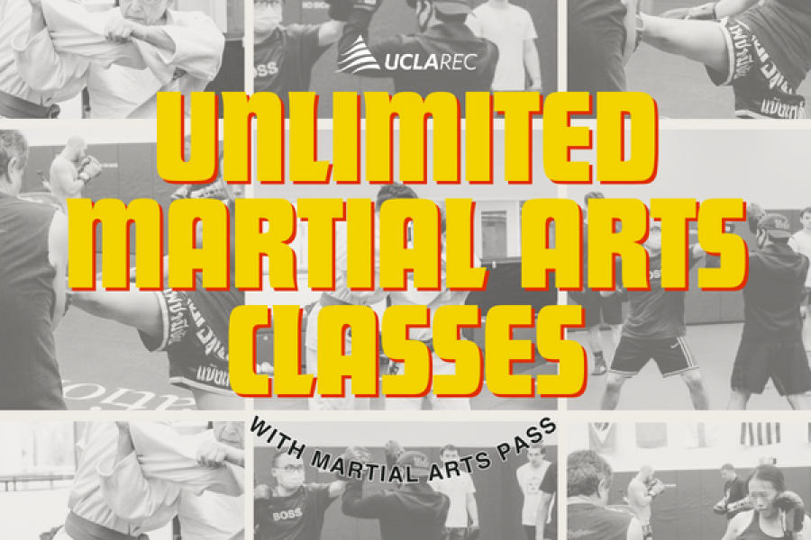 Unlimited Martial Arts Classes With Martial Arts Pass